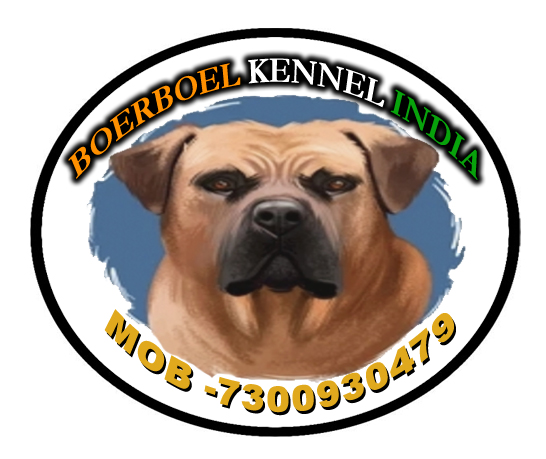 BOERBOEL